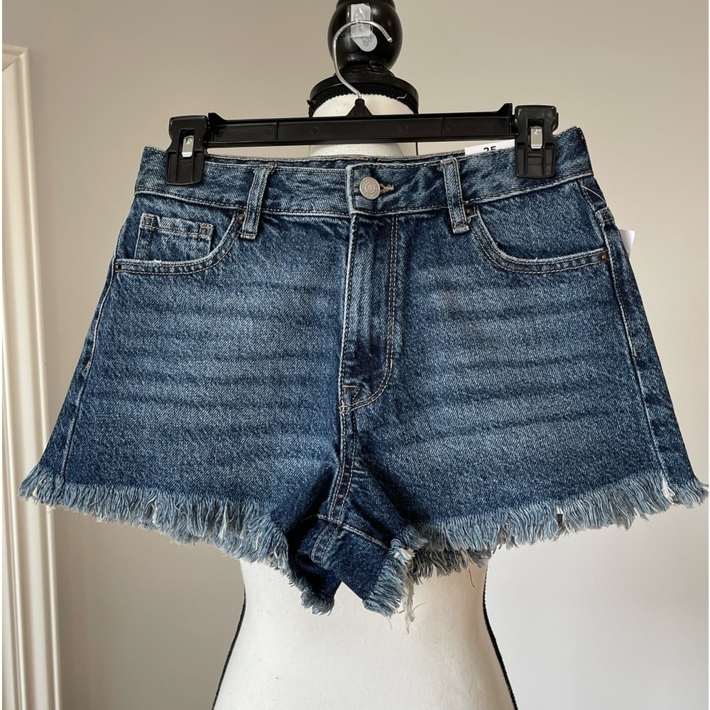 PacSun NWT high rise festival short in a size 25
